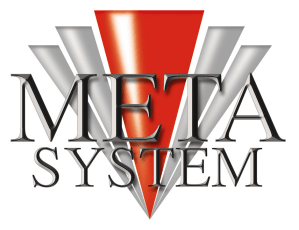 MetaSystem
