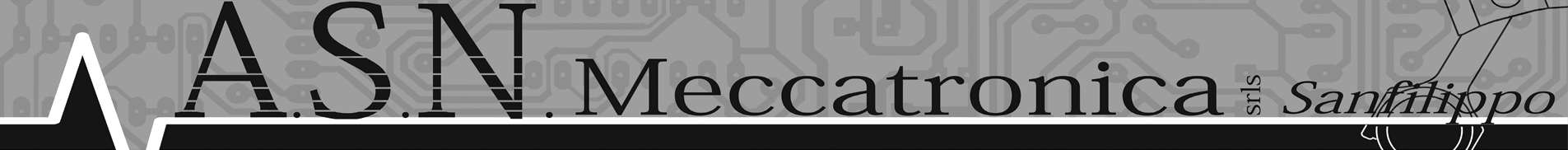 A.S.N. Meccatronica
